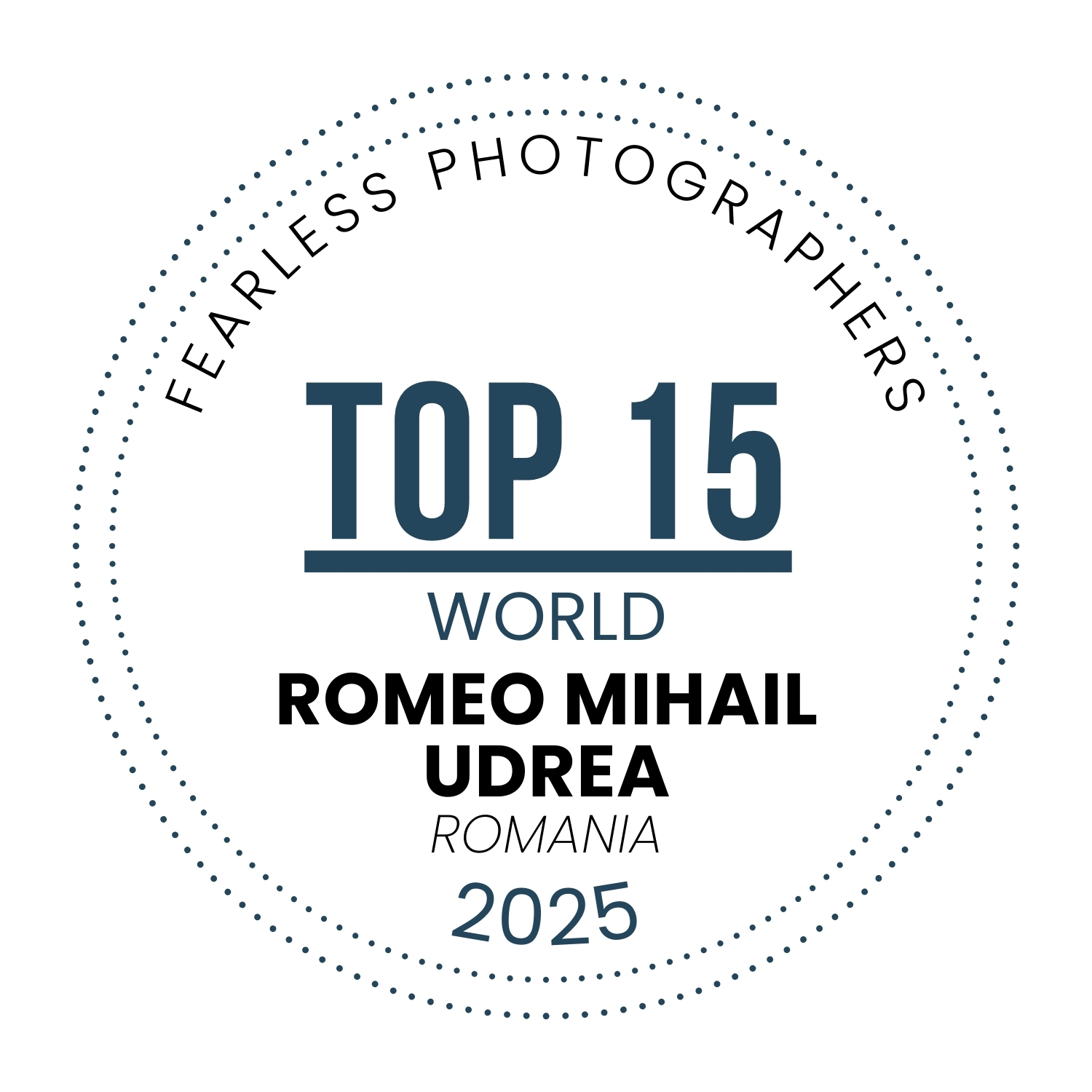 Romeo Mihail Udrea gallery photo
