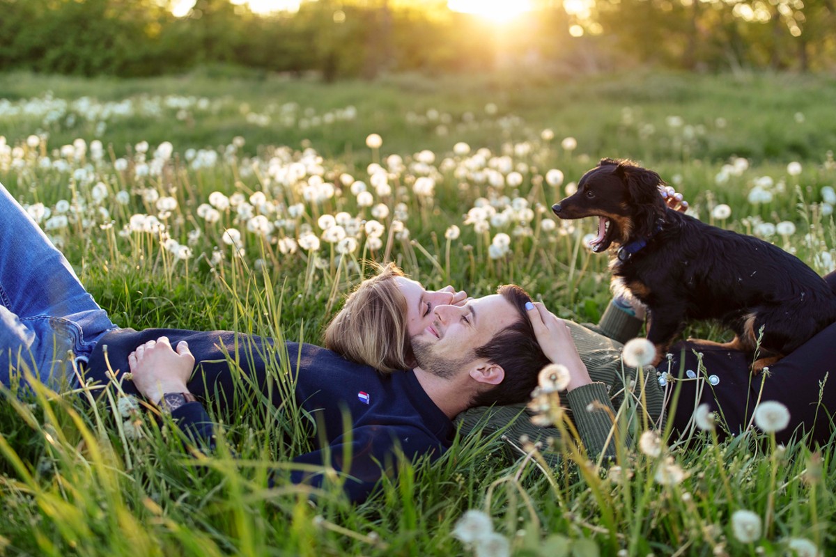 Attila Ancsin portfolio photo