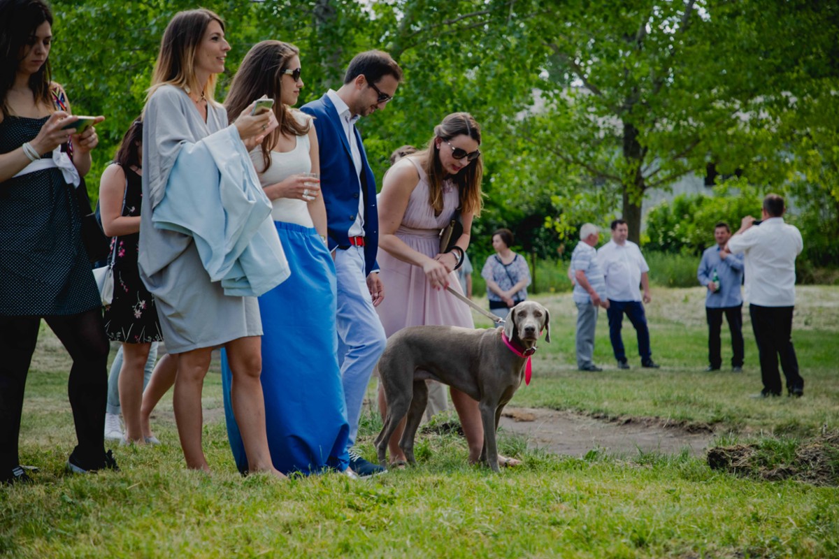 Attila Ancsin portfolio photo