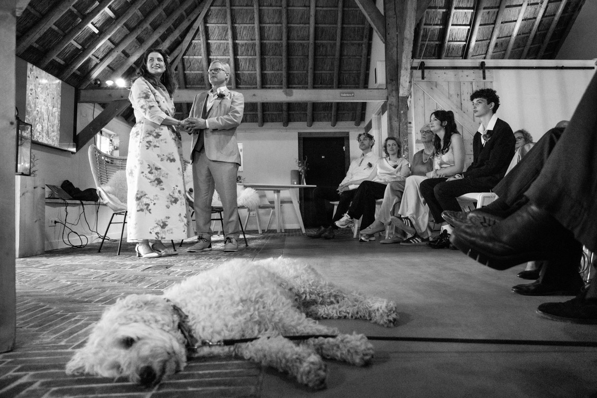 Denise Motz portfolio photo