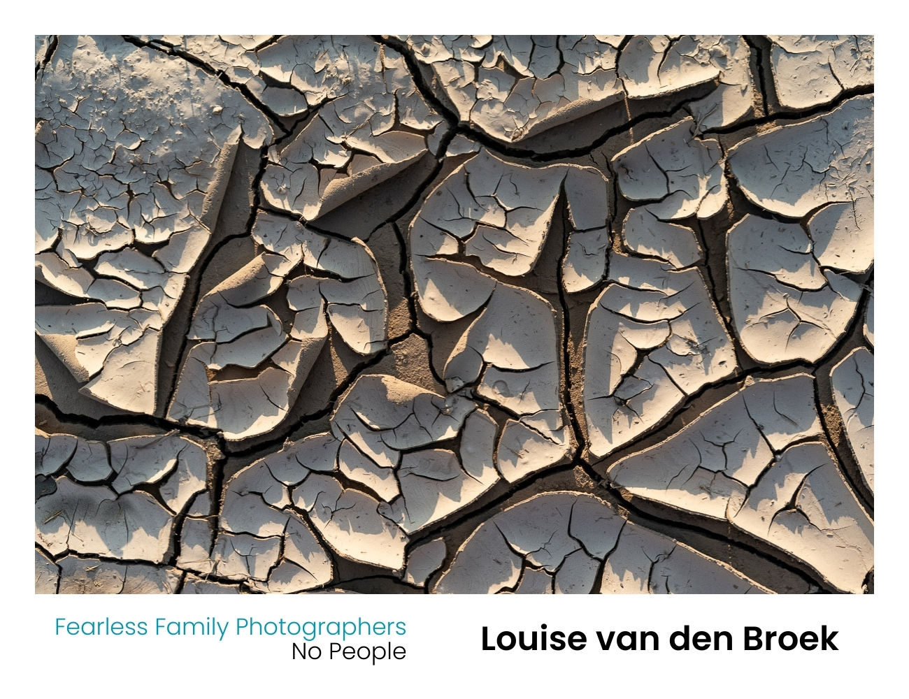 Louise van den Broek