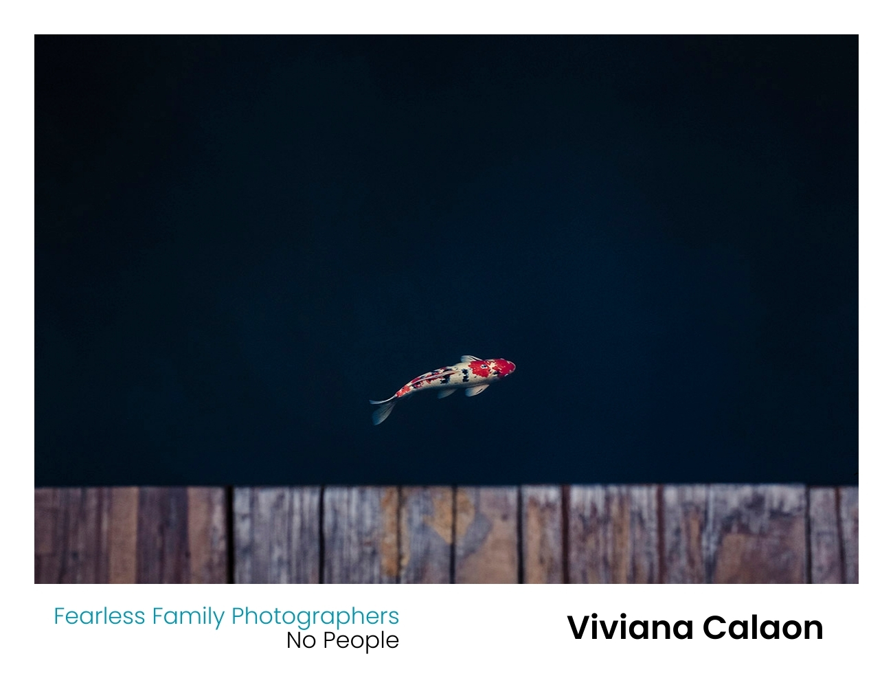 Viviana Calaon