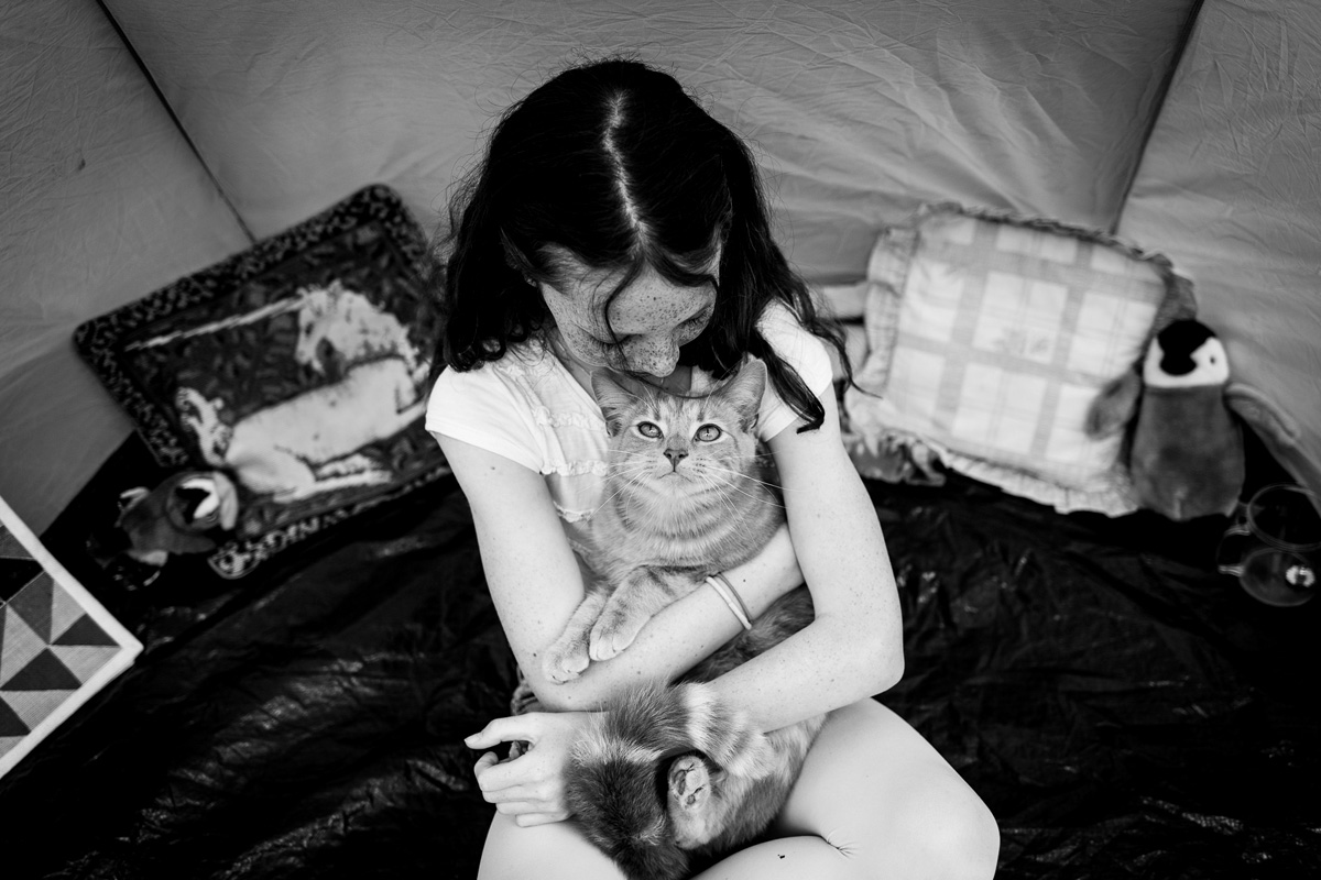 Purr-fect Pals