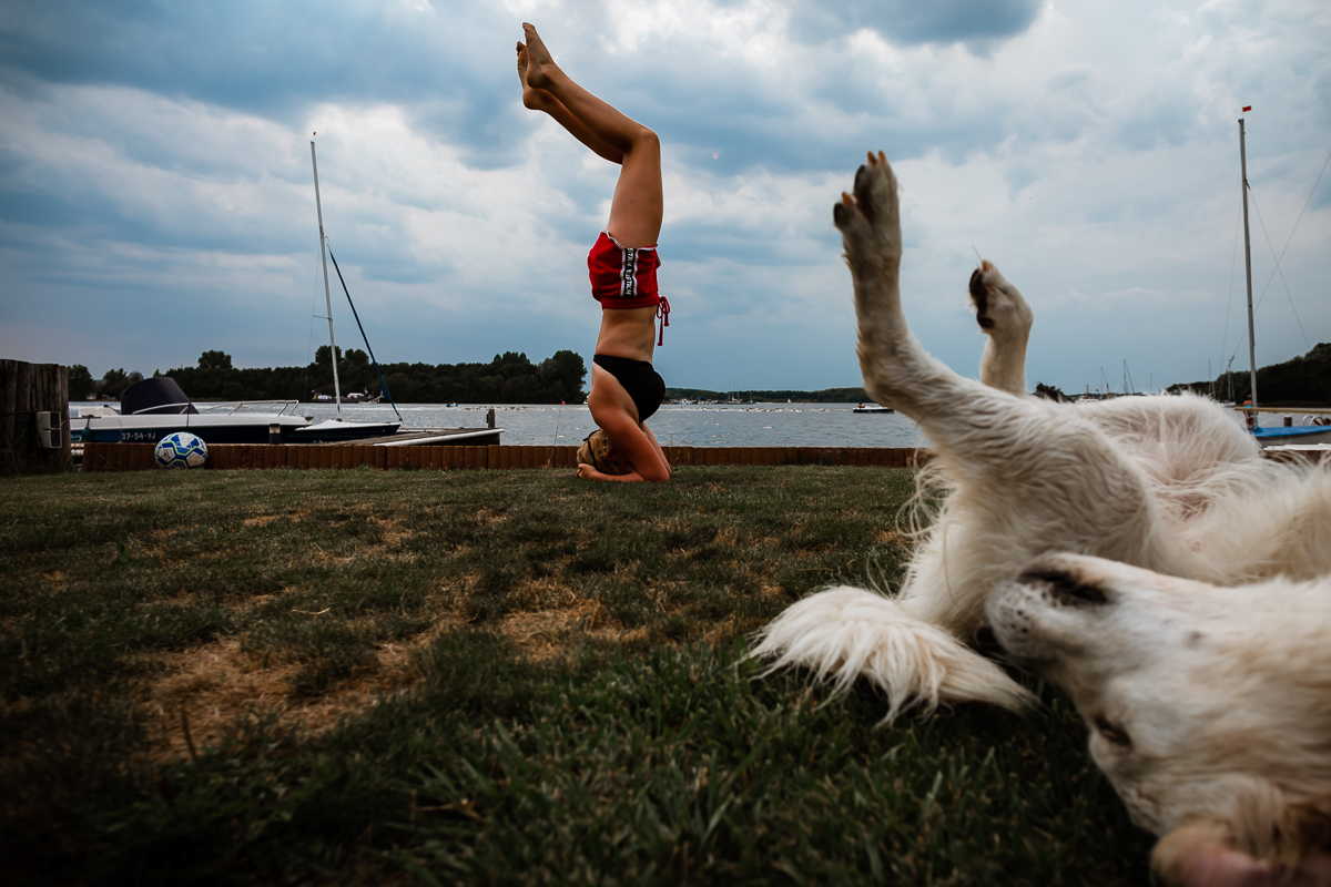 upside down dog with upside down person