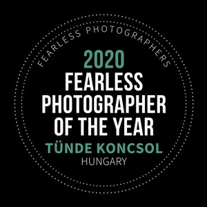 Fearless Honors