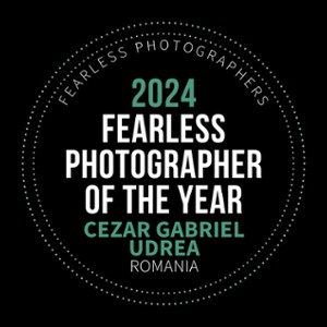 Fearless Honors
