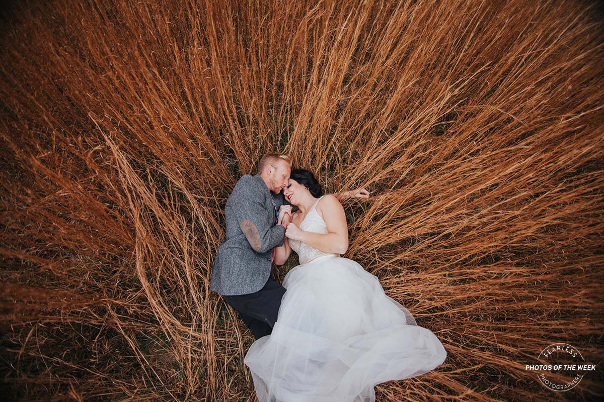 Andrea Lewis gallery photo