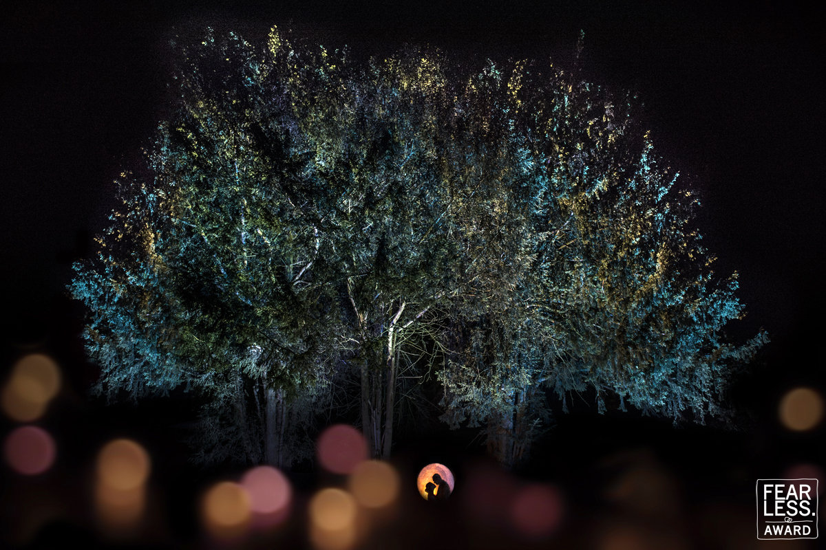 Gabriel Scharis gallery photo