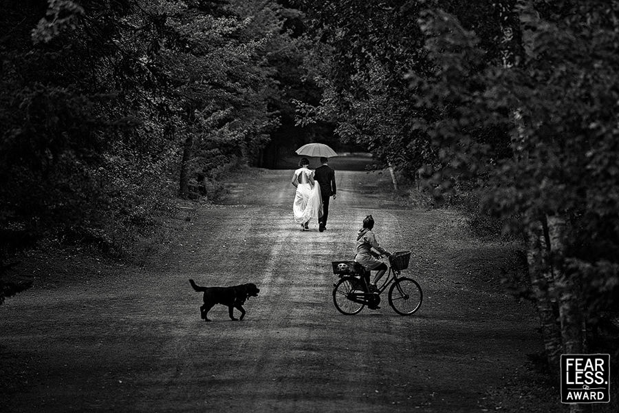 Jeff Cooke gallery photo