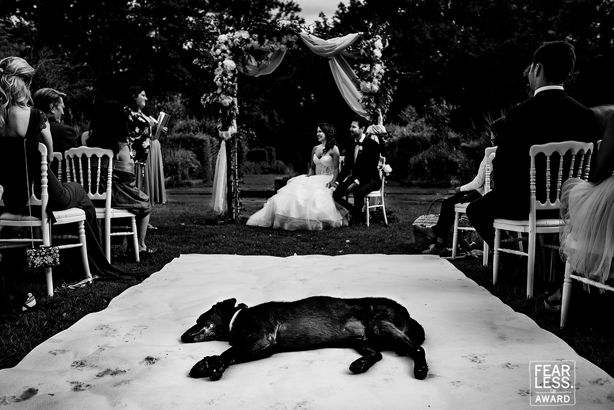 Steven Herrschaft gallery photo