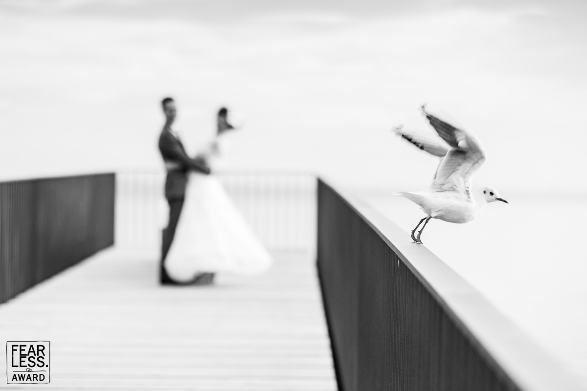 Vincent Bourrut gallery photo