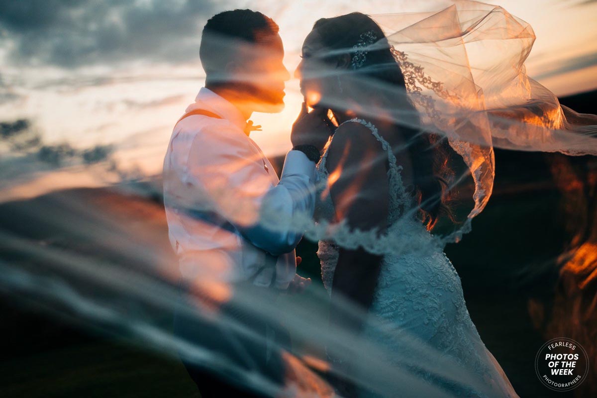 William Hall gallery photo