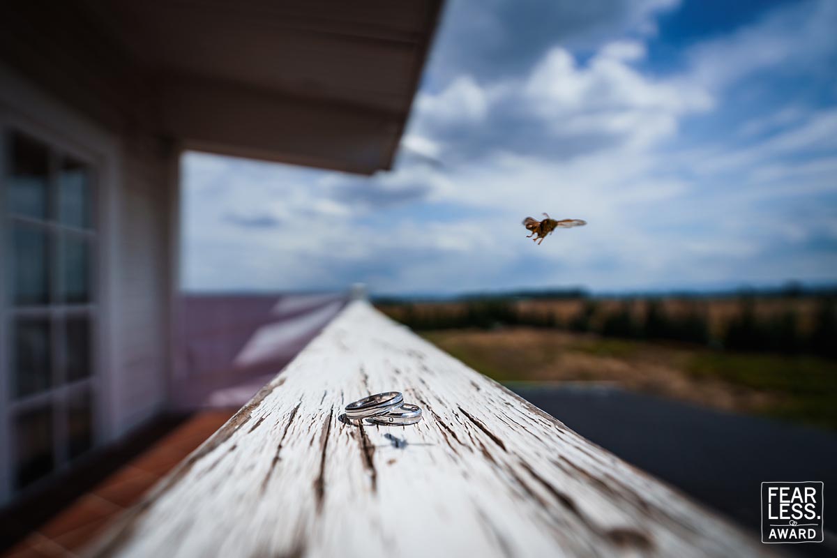 Boni Bonev gallery photo