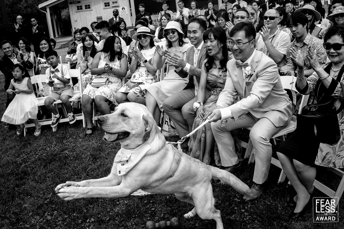Cafa Liu gallery photo