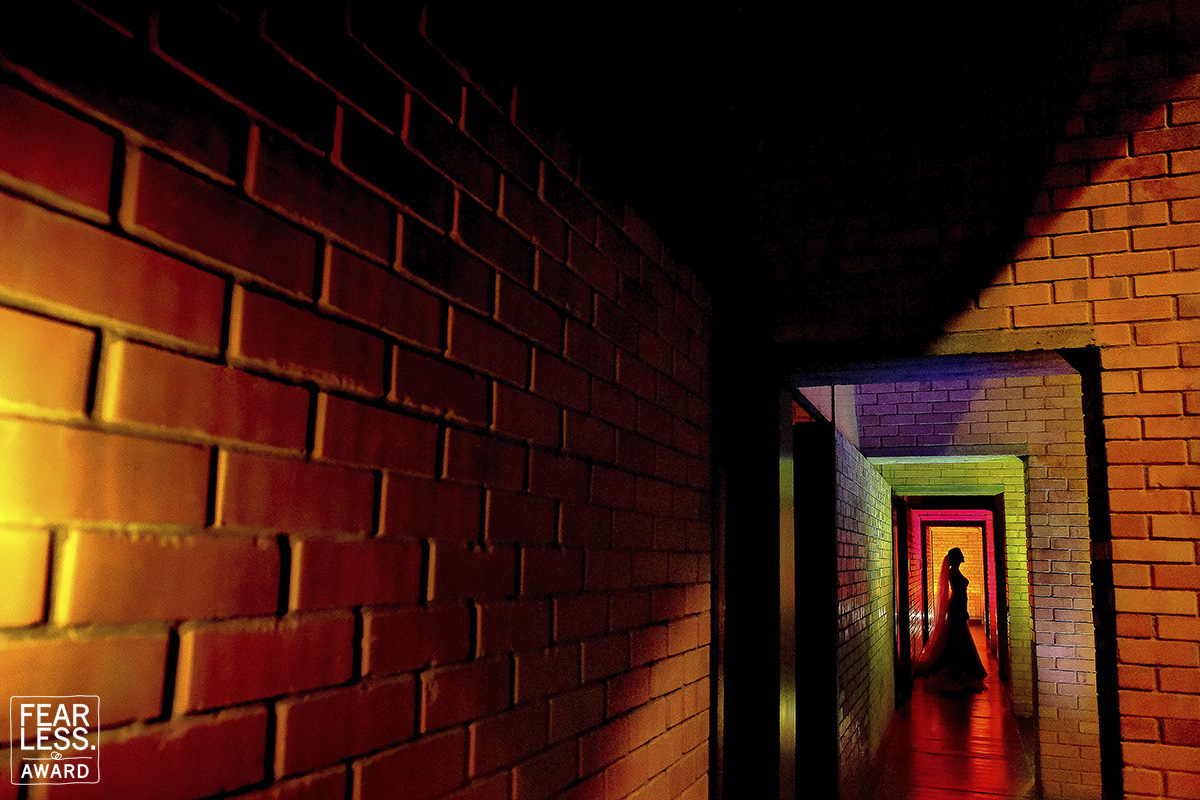 David Hofman gallery photo