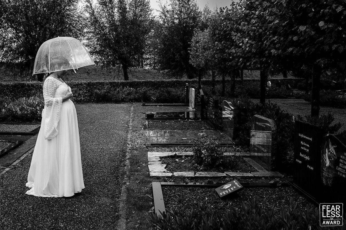 Peter Geluk gallery photo