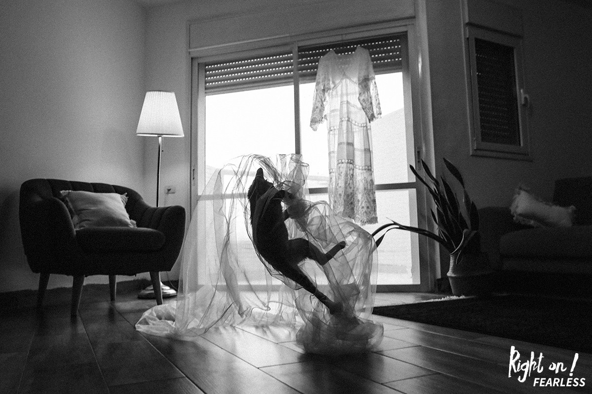 Shahar Vin gallery photo