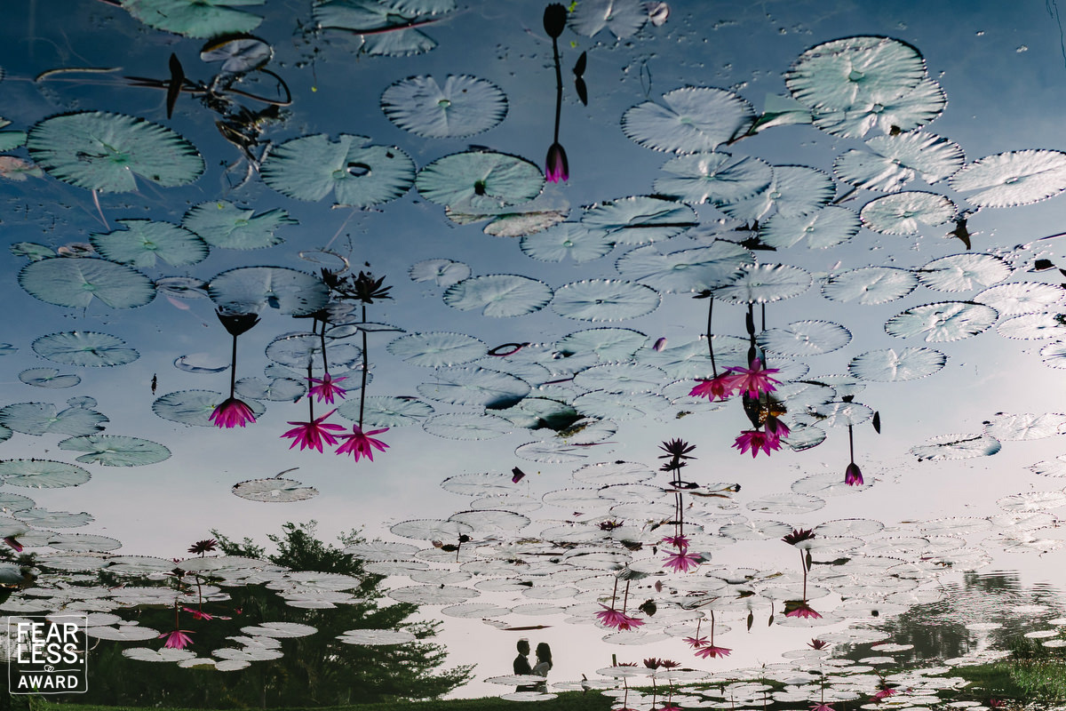 Van Tran gallery photo