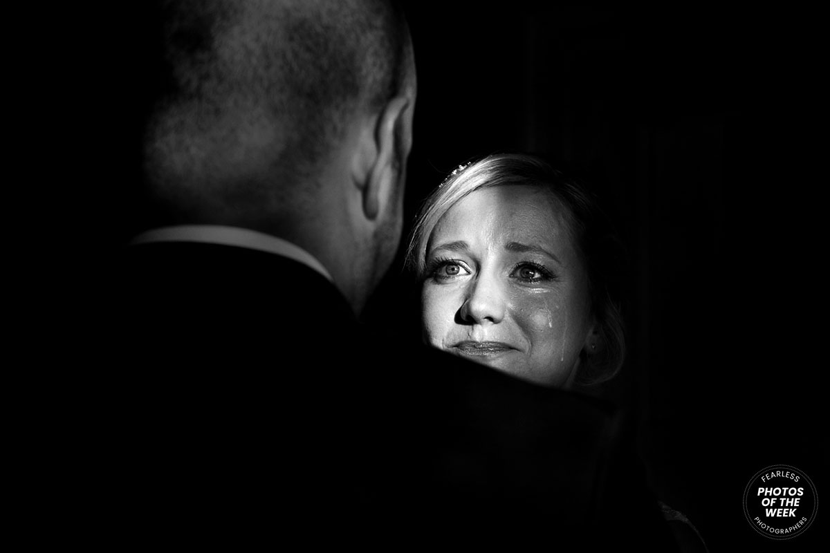 Will Dolphin gallery photo