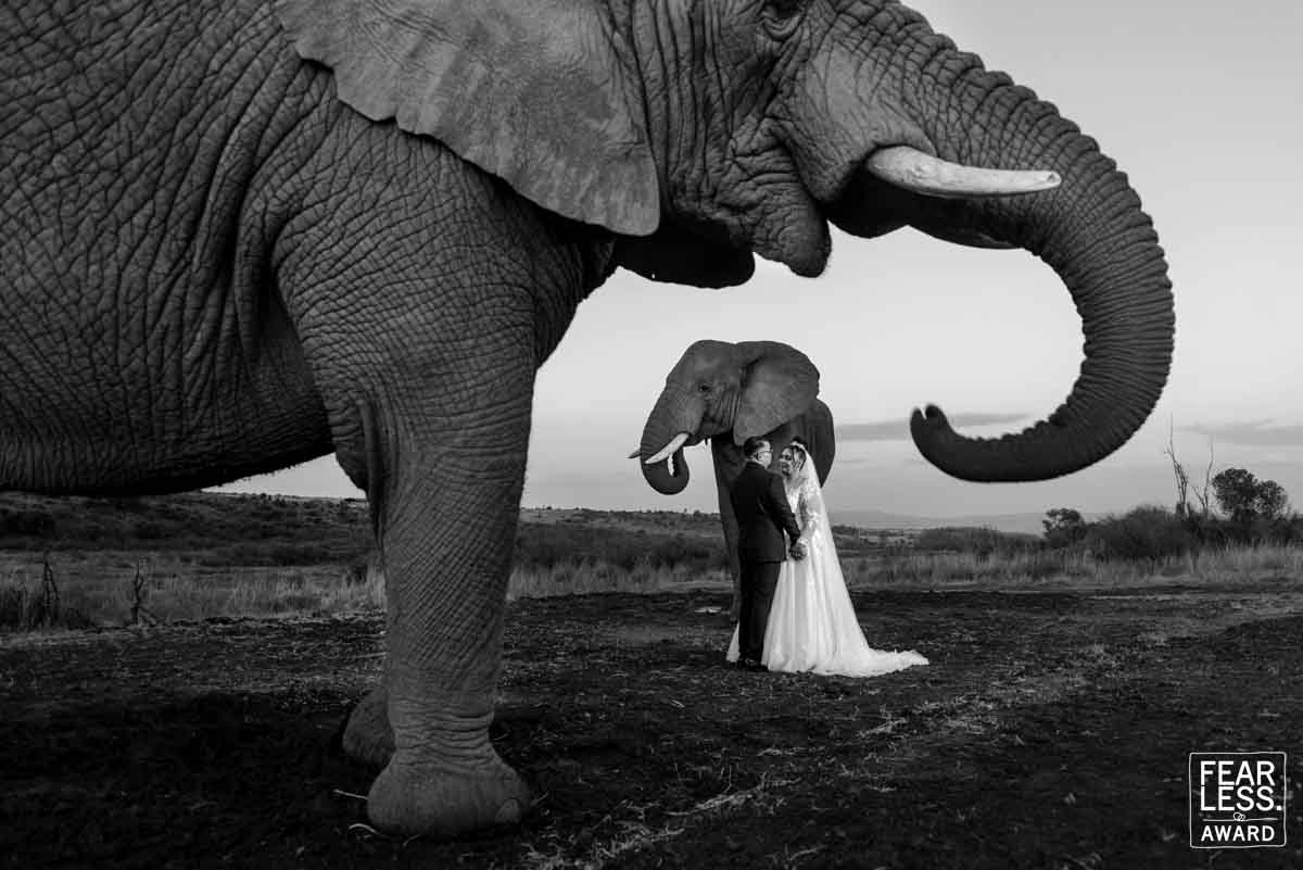 Wynand van der Merwe gallery photo