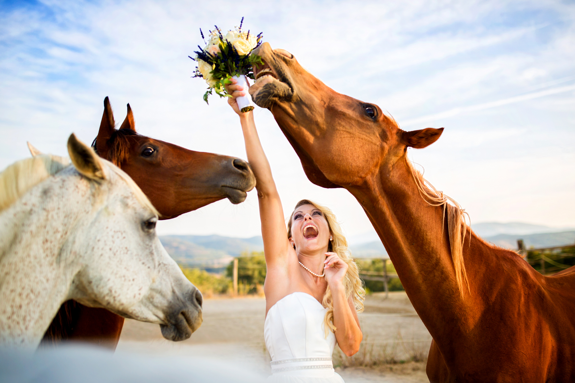 Wedding photo by Fabio Mirulla