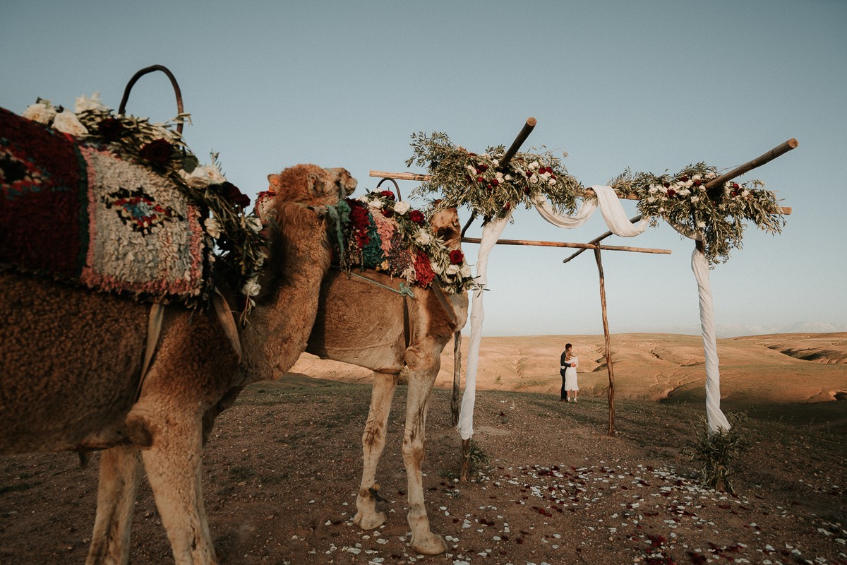 Adil Youri portfolio photo