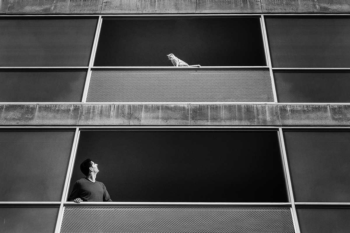 Paulo Pinto portfolio photo