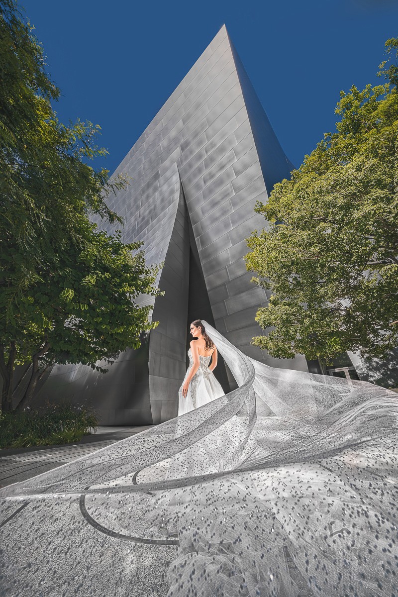 Michael Anthony portfolio photo