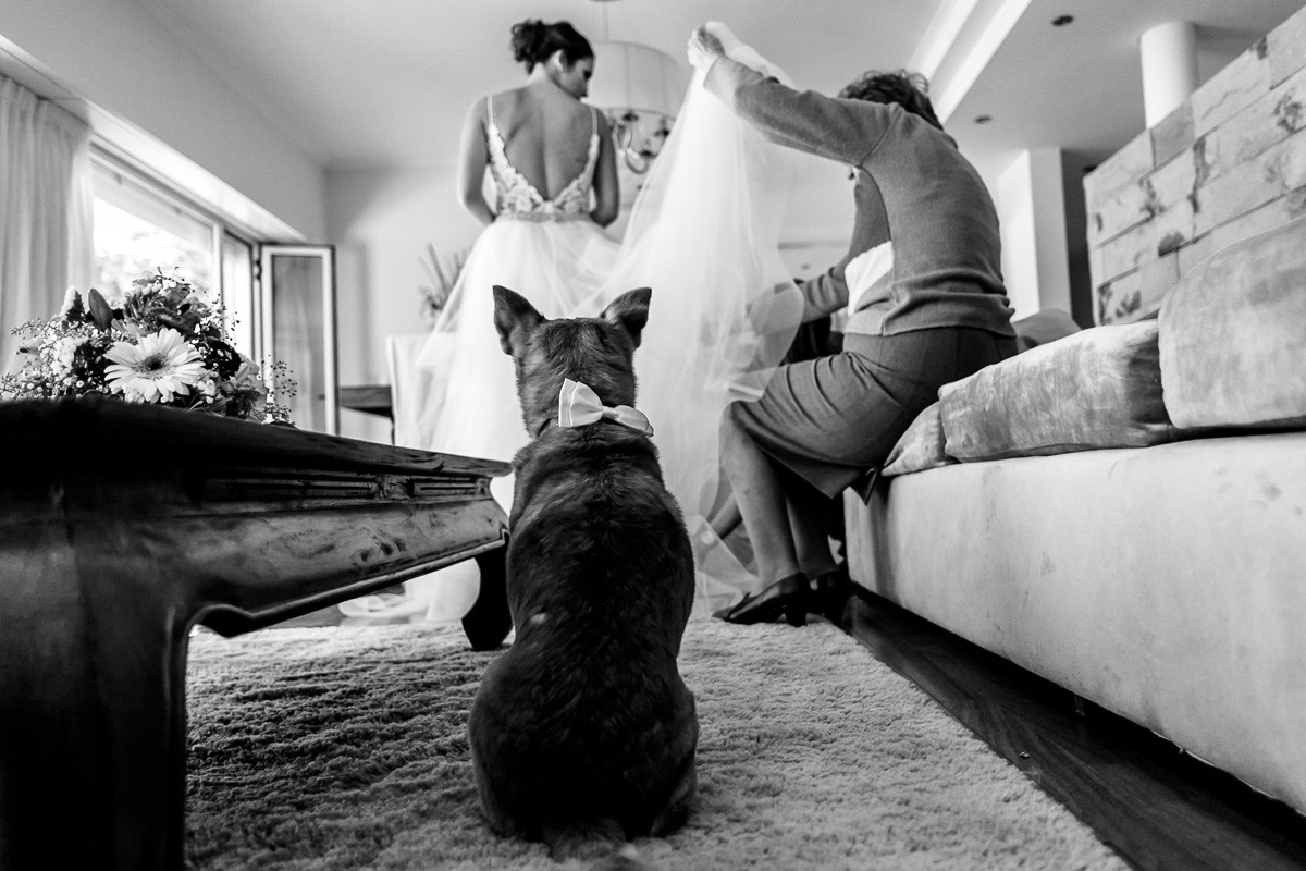 Andres Preumayr portfolio photo