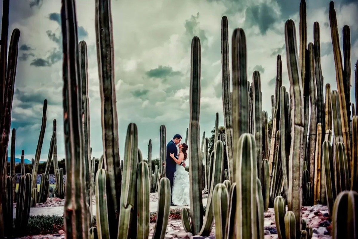 Daniel Becerril featured photo
