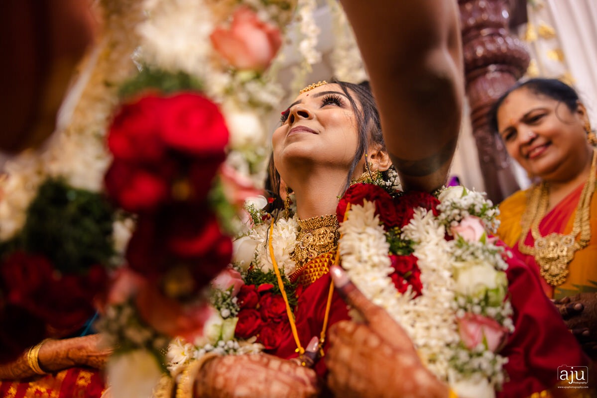 Ajay Krishnan portfolio photo