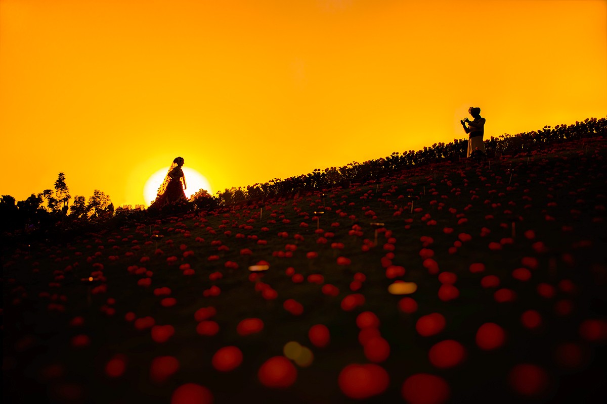 Anand Rathi portfolio photo