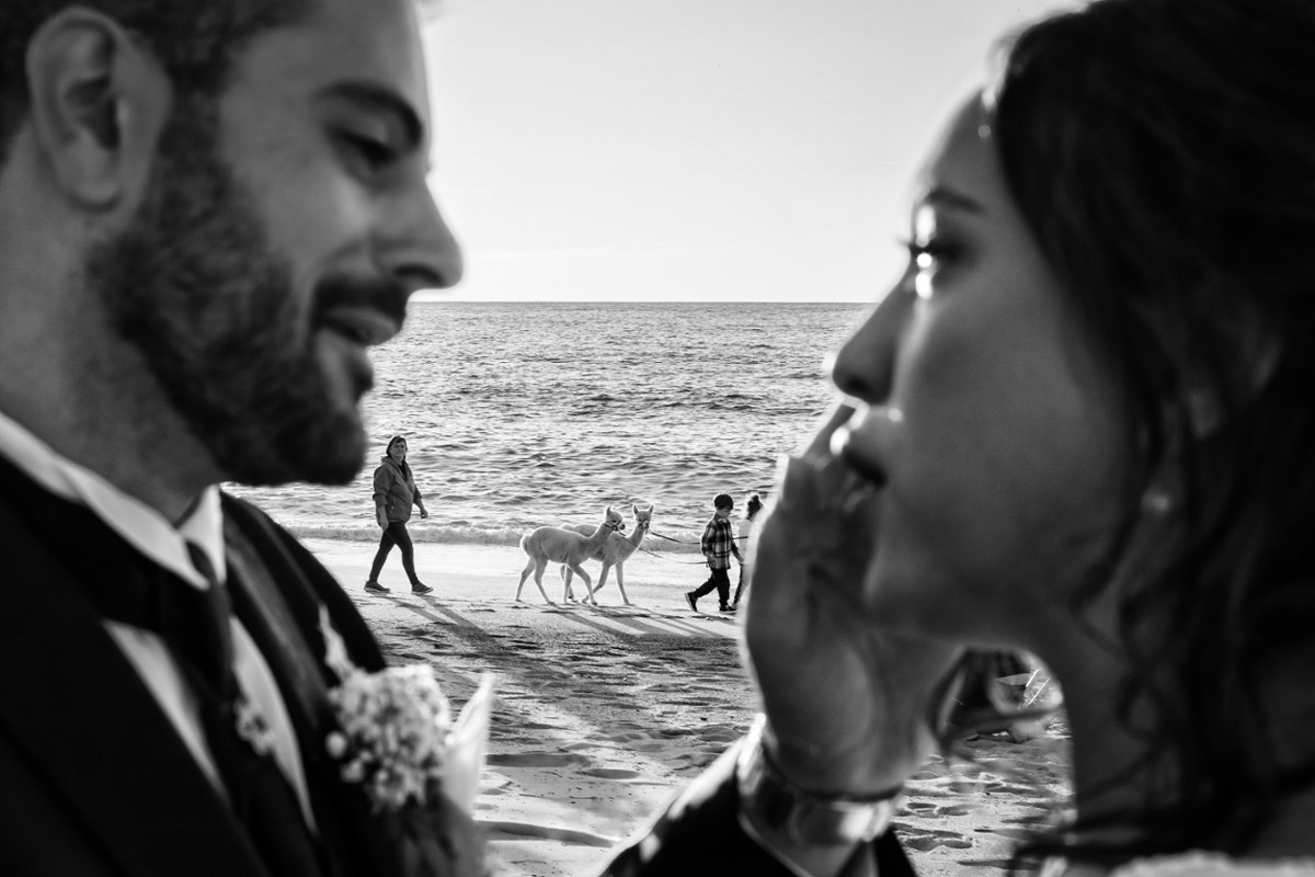 Andrea Cacciola portfolio photo