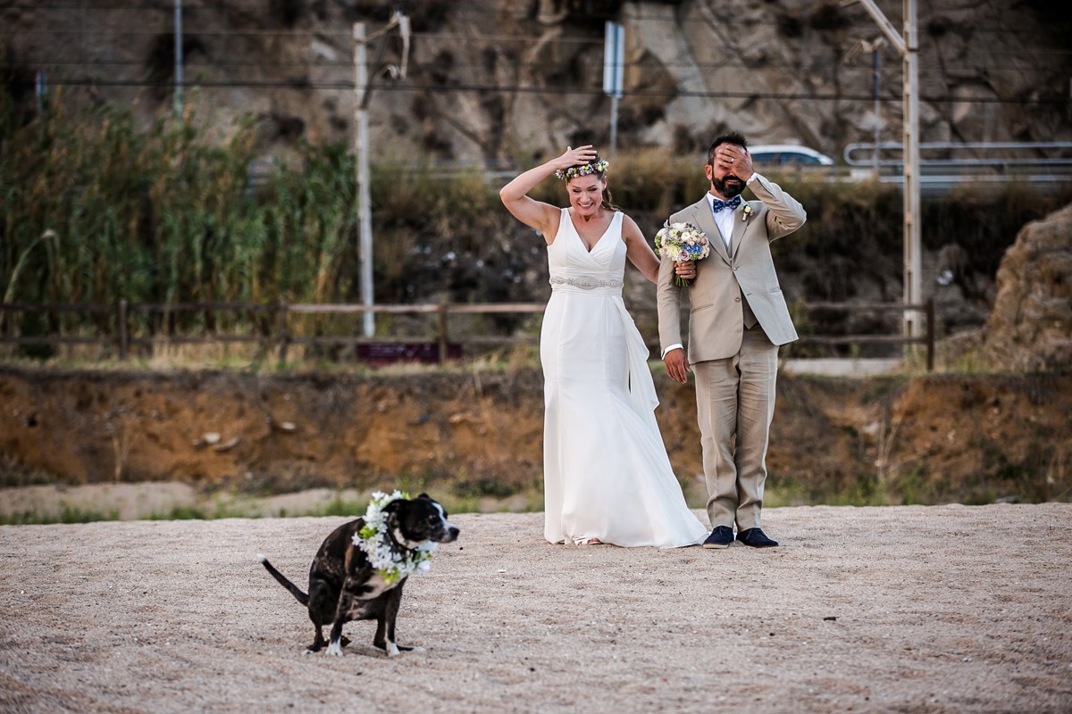 Andreu Doz portfolio photo
