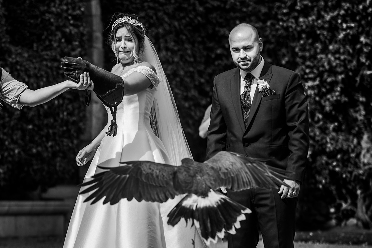 Andreu Doz portfolio photo
