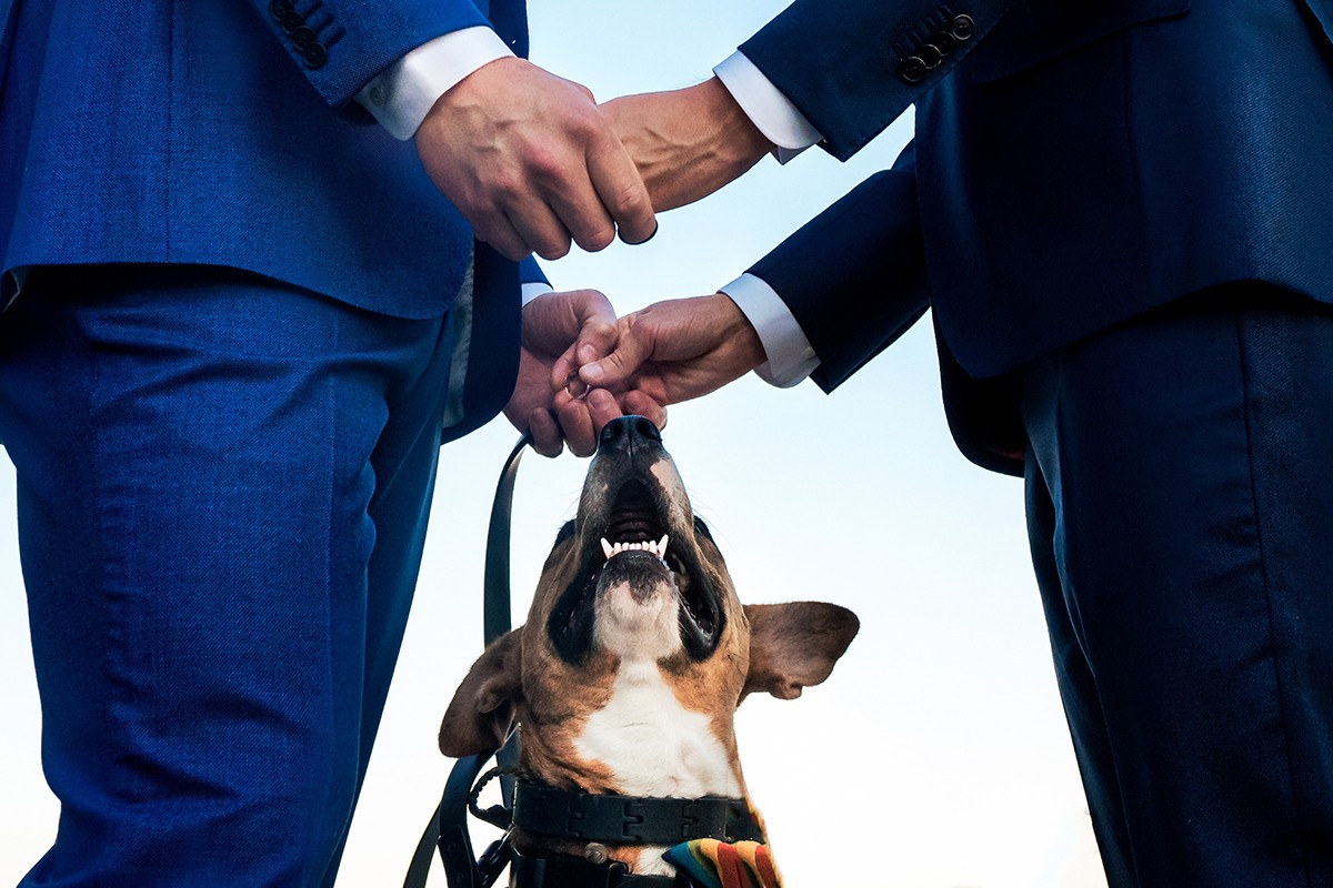 Anji Martin portfolio photo