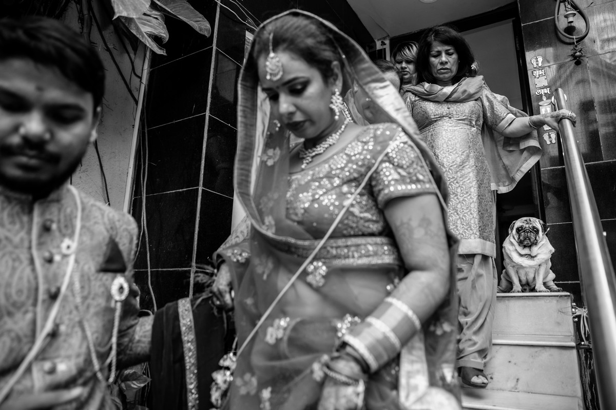 Anupa Shah portfolio photo