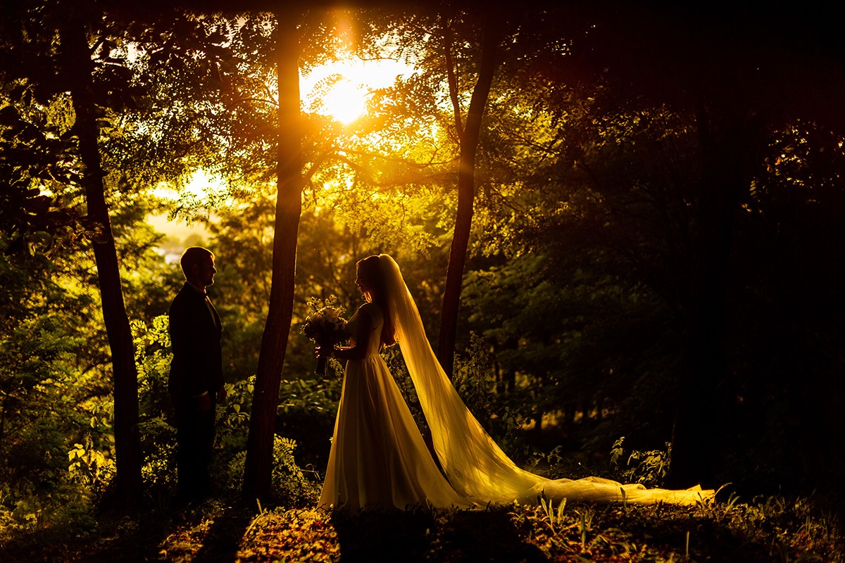 Balog Zsolt portfolio photo