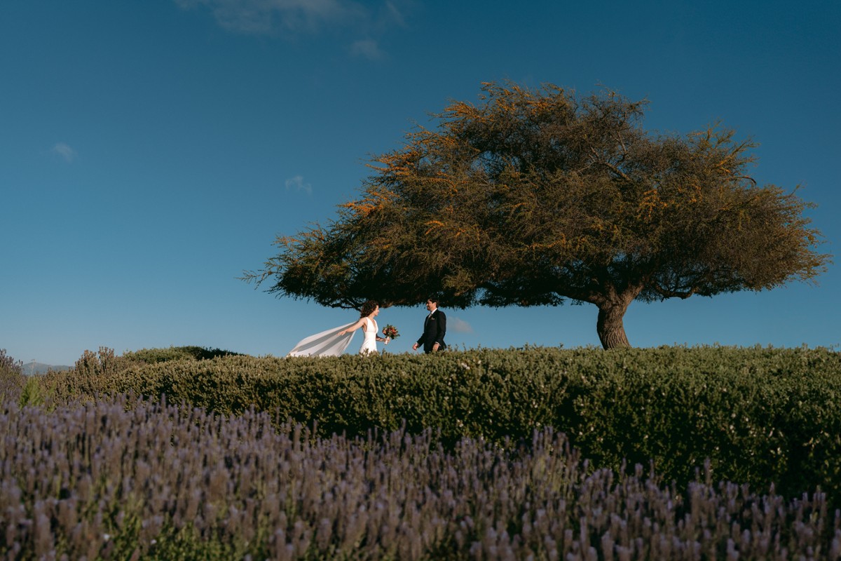 Benjamin Monge portfolio photo