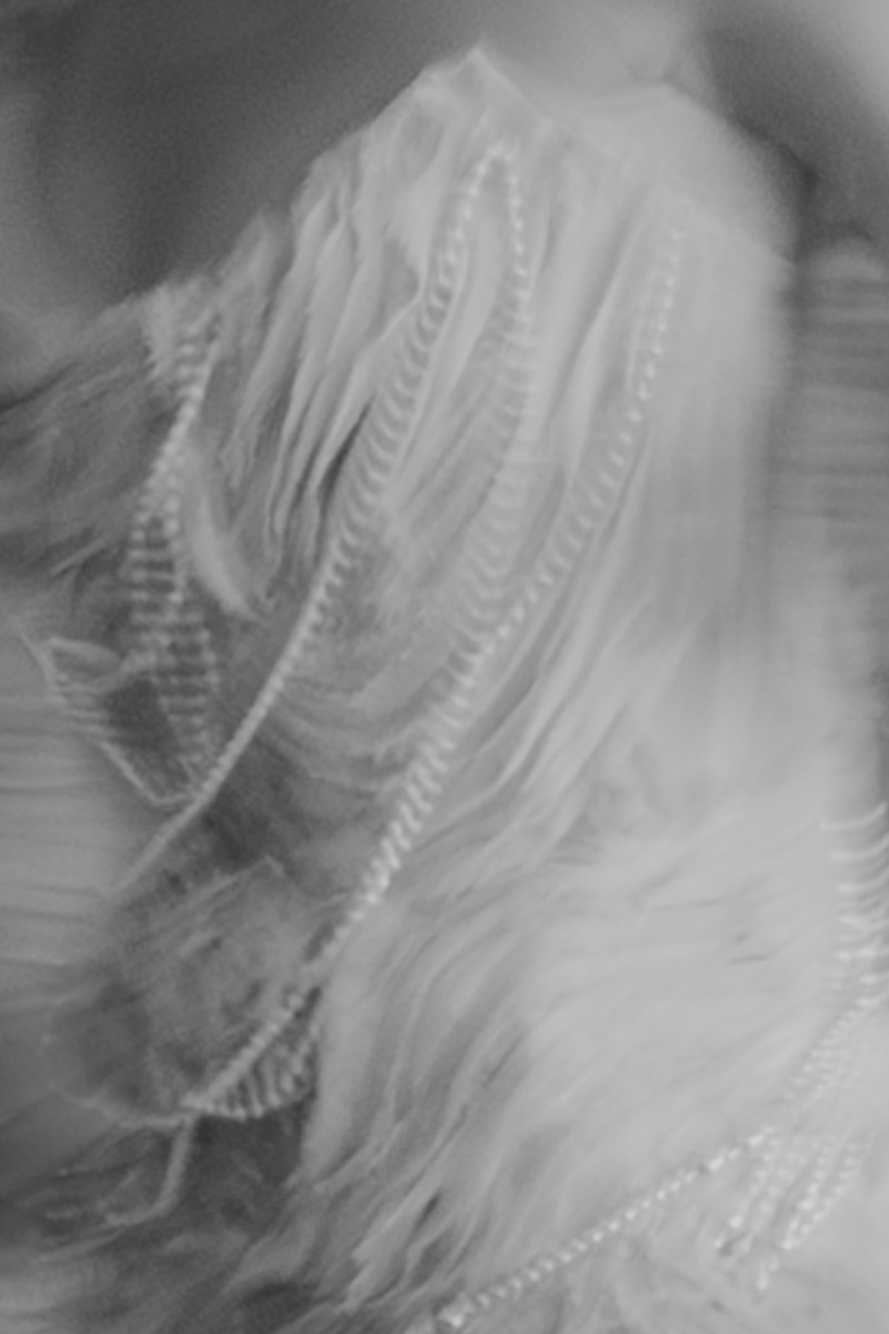 Bernadeta Kupiec portfolio photo