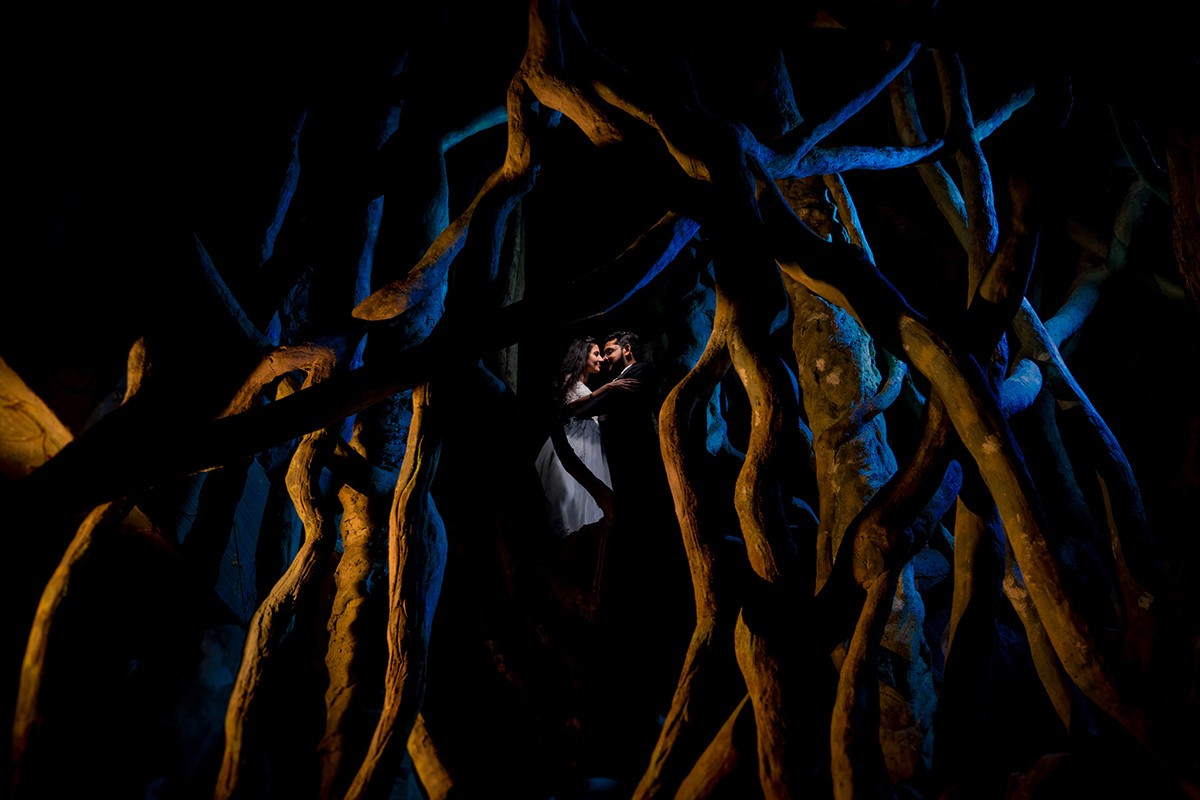 Binu Adoor portfolio photo