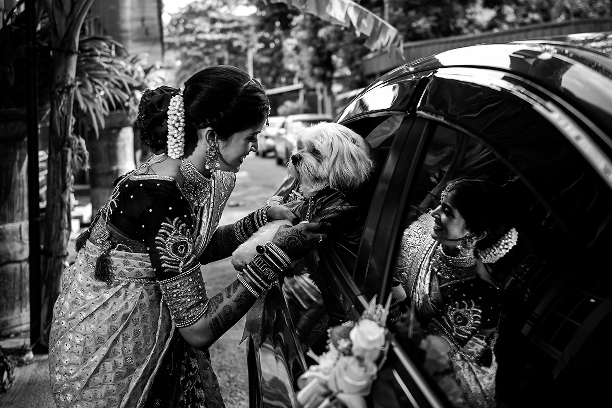 Chitra Sri portfolio photo
