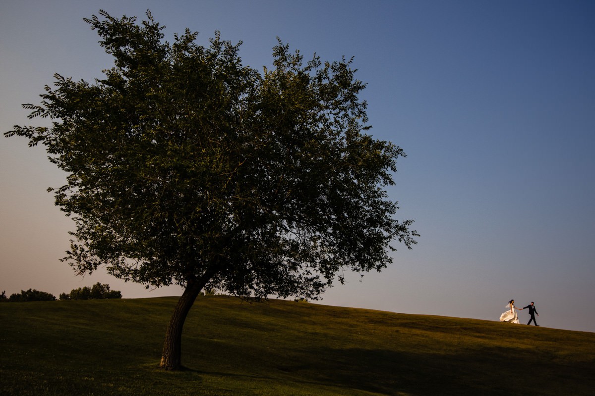 Curtis Moore portfolio photo