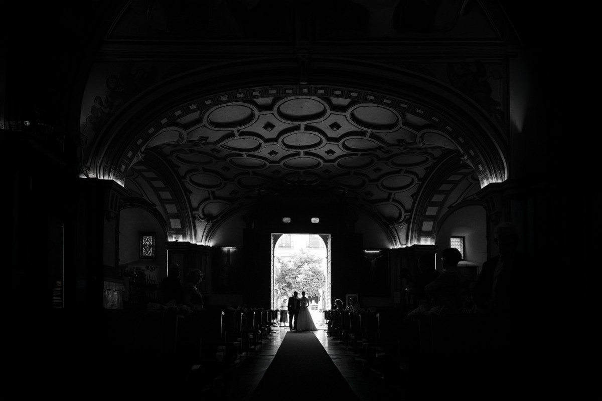 Darío Ortega portfolio photo
