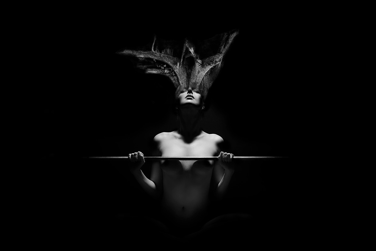 David Torres portfolio photo