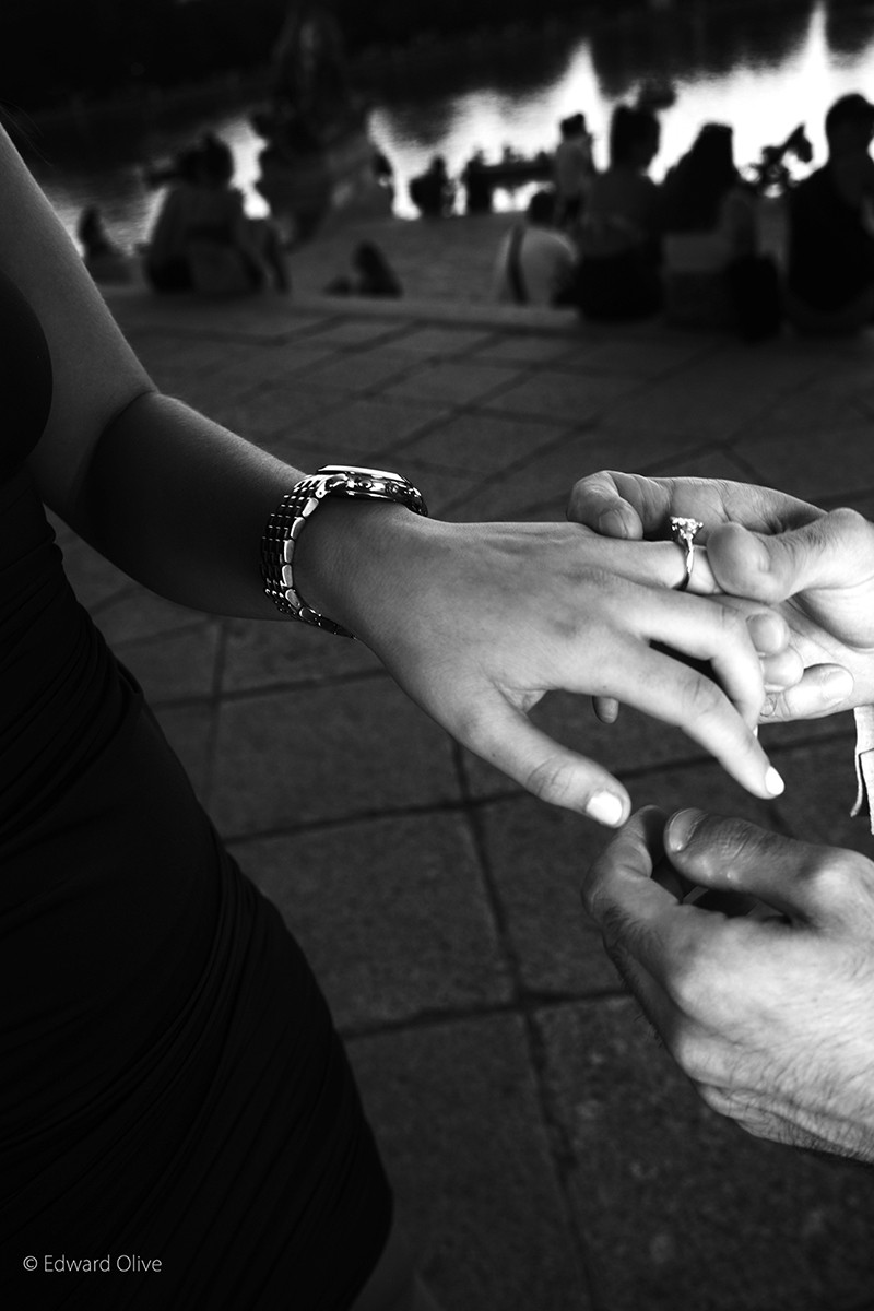 Edward Olive portfolio photo