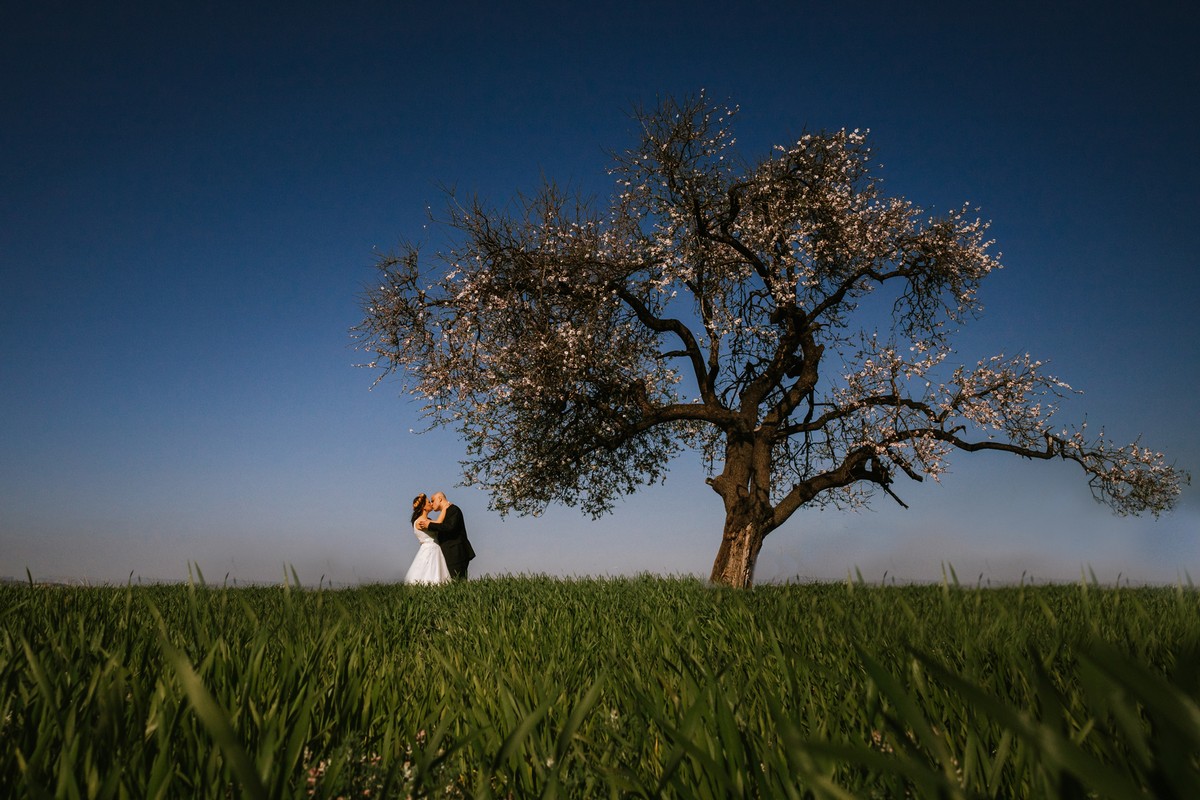 Emre Nesli portfolio photo