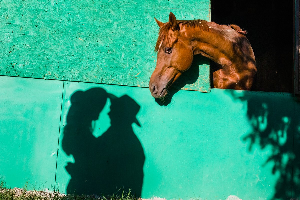 Emre Nesli portfolio photo