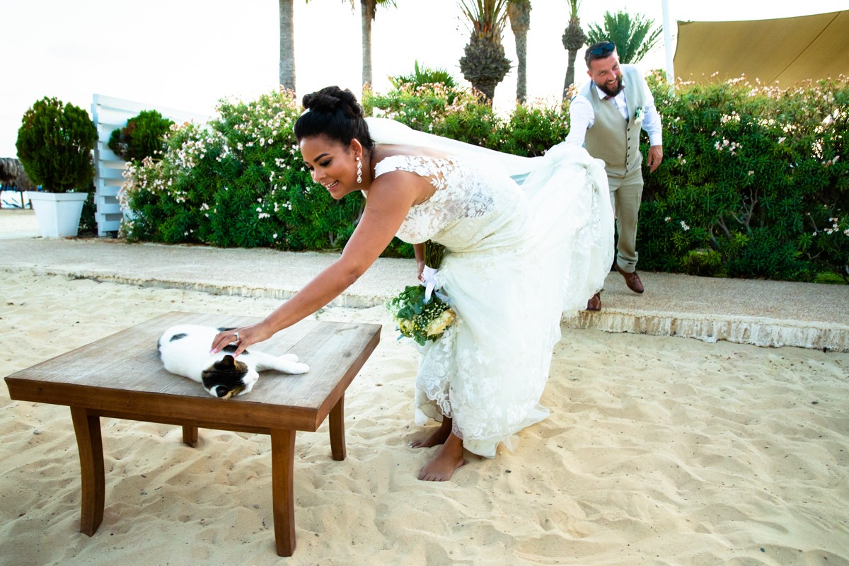 Faik Iraz portfolio photo