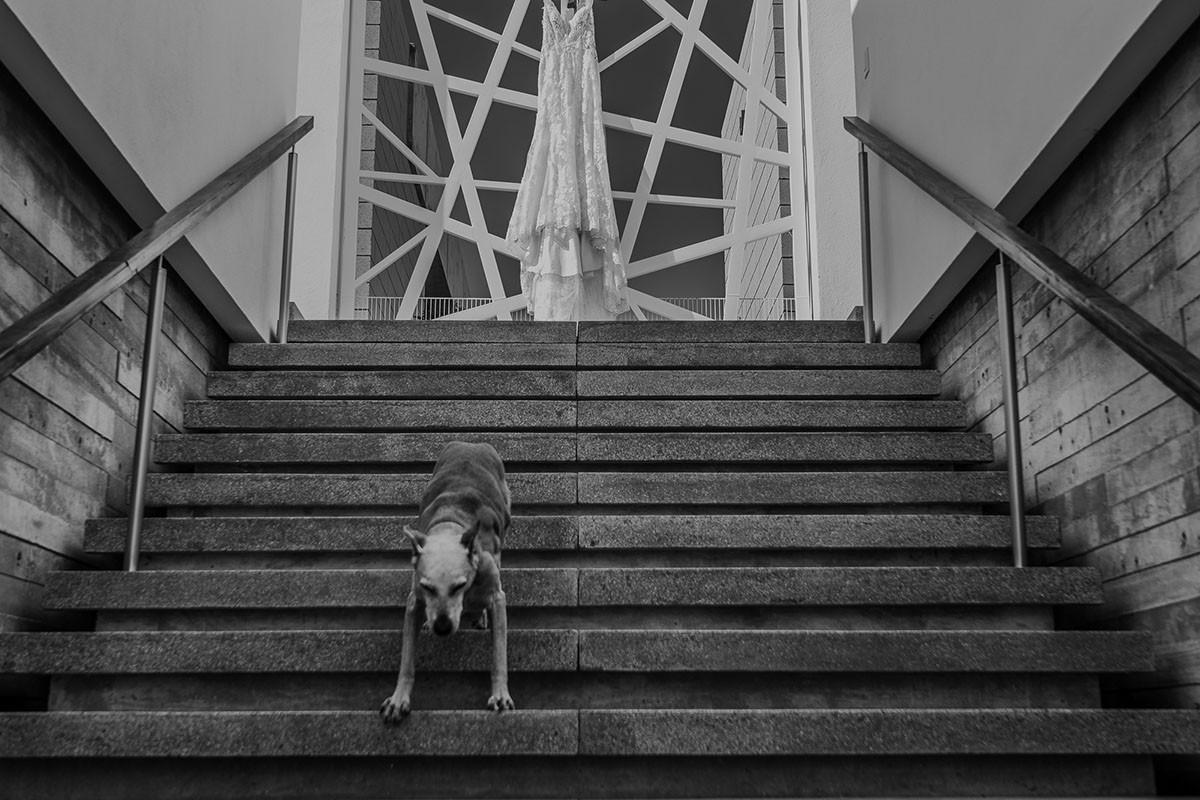 Farid Novelo portfolio photo